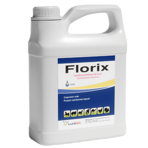 Florix Bidon de 5L