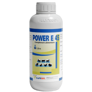 POWER E45 Flacon 1L