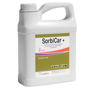 SorbiCar+ Bidon de 5L