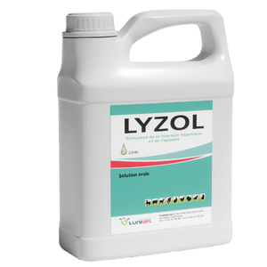 LYZOL Bidon de 5L